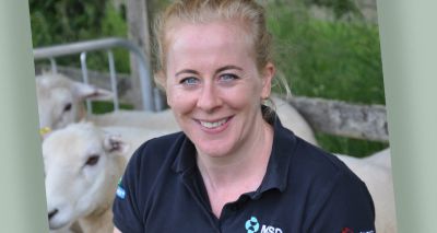 MSD Animal Health launches FlockCheck 2026